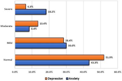 Prevalence of depression and anxiety among elderly primary care patients in Palestine